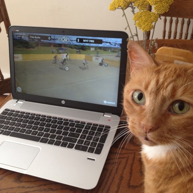 #bostonbikepolo #whtfng #nahbpc #catsofbikepolo